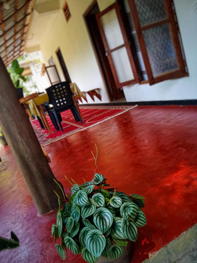 New Rose Villa Bandarawela Ella Zewnętrze zdjęcie