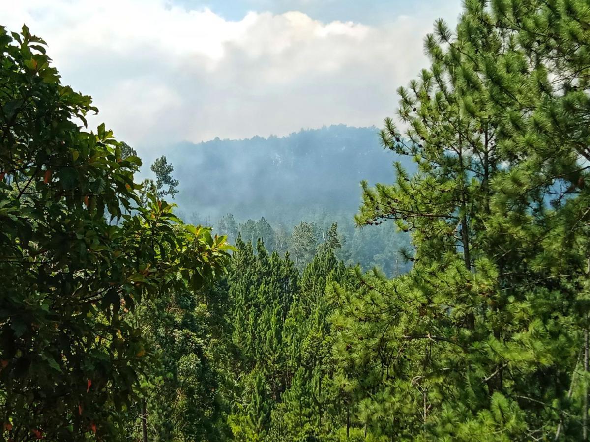 New Rose Villa Bandarawela Ella Zewnętrze zdjęcie