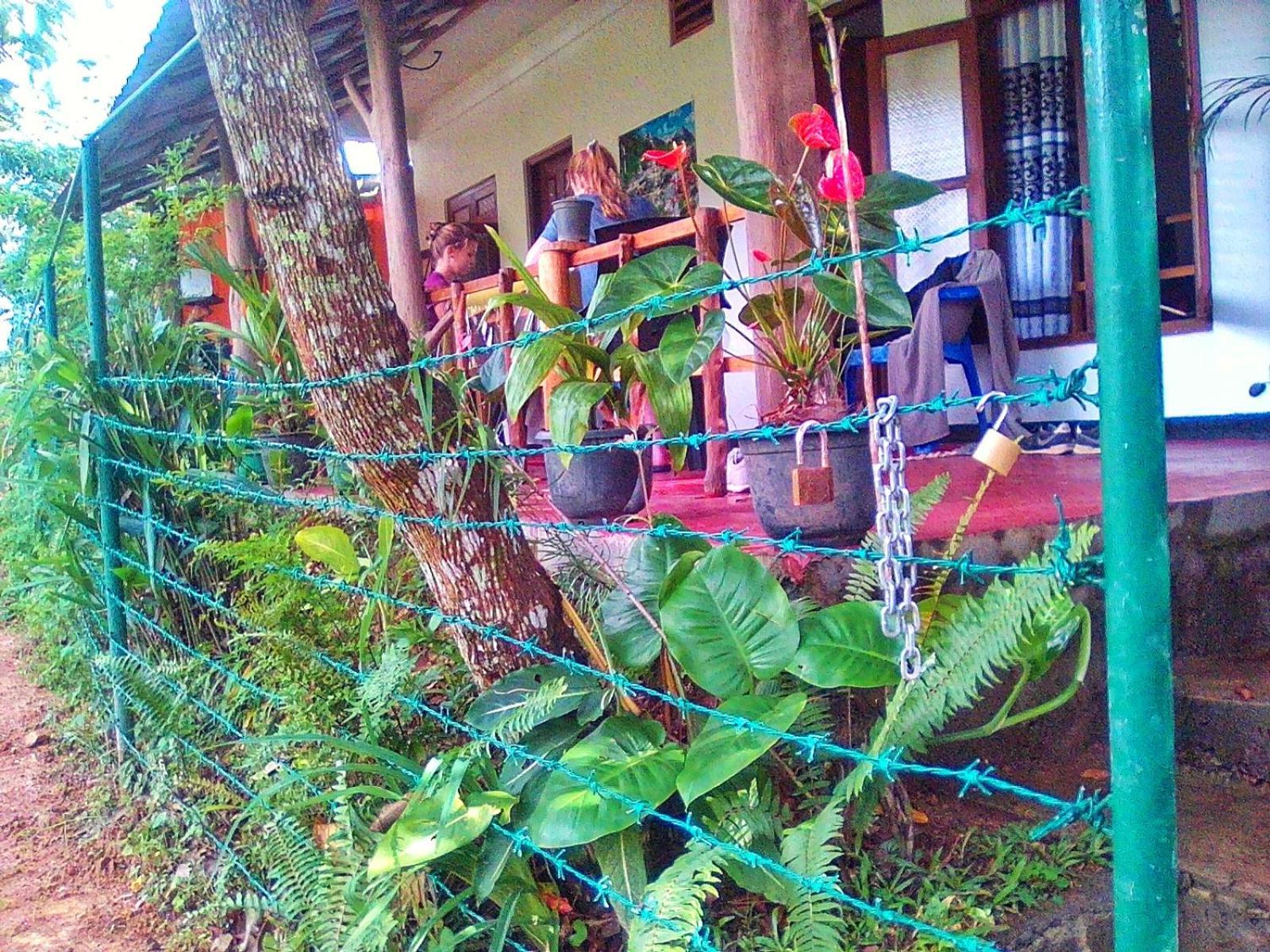 New Rose Villa Bandarawela Ella Zewnętrze zdjęcie