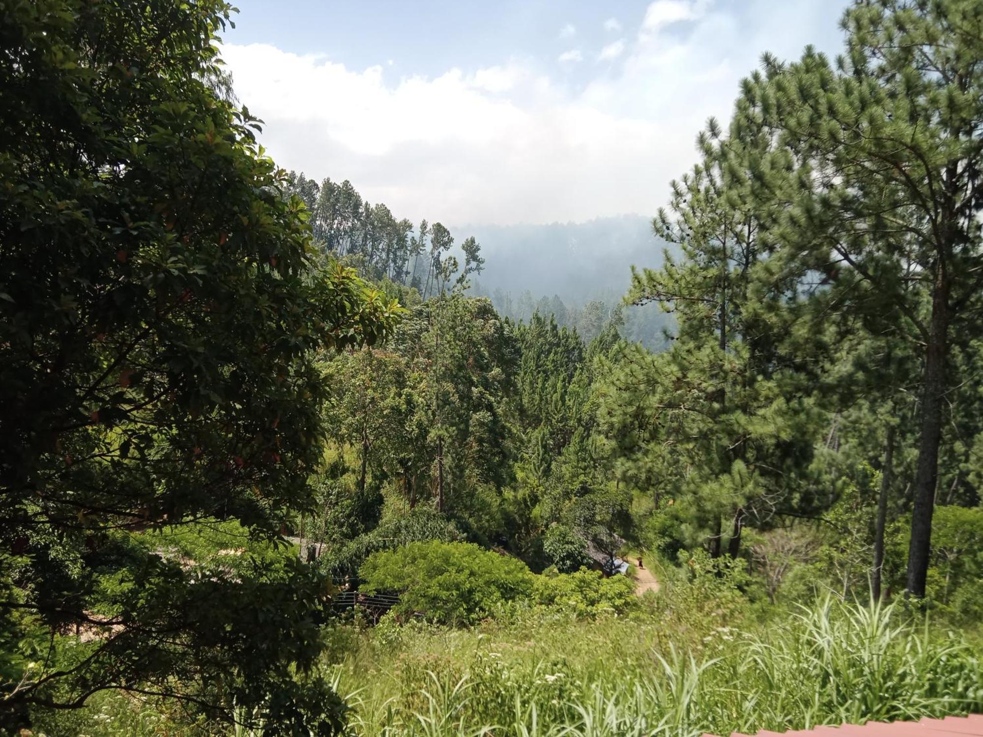 New Rose Villa Bandarawela Ella Zewnętrze zdjęcie