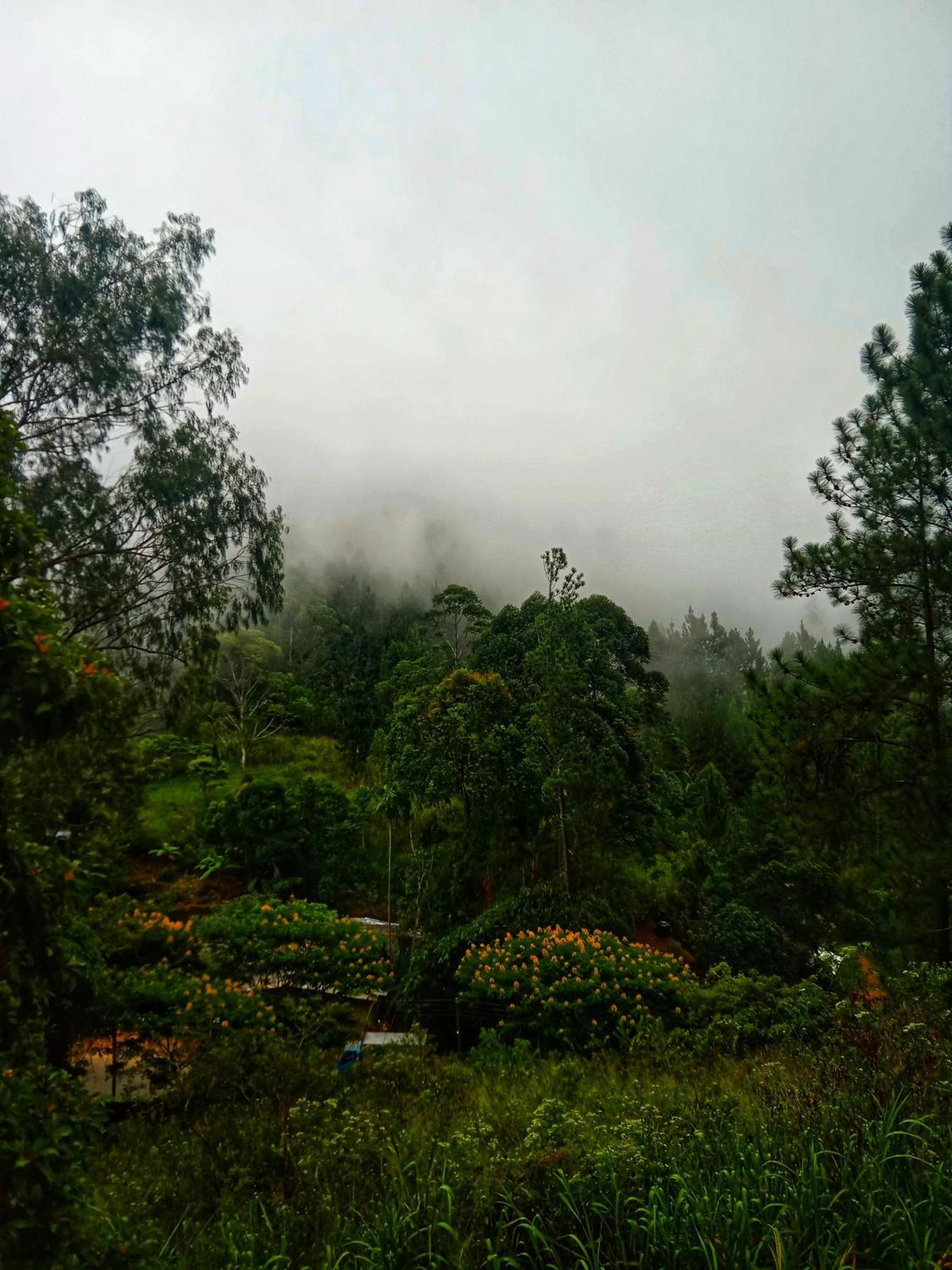 New Rose Villa Bandarawela Ella Zewnętrze zdjęcie