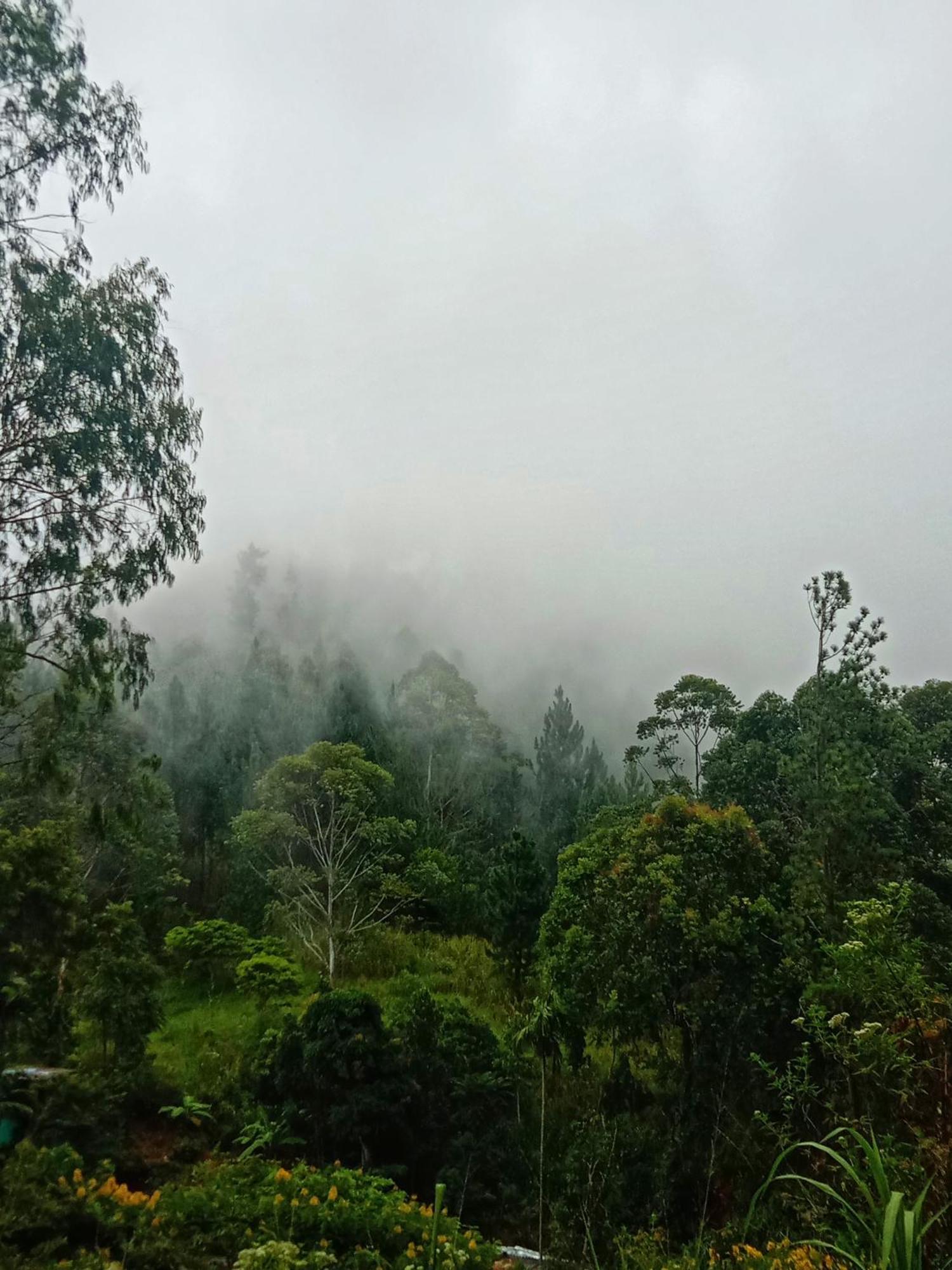 New Rose Villa Bandarawela Ella Zewnętrze zdjęcie