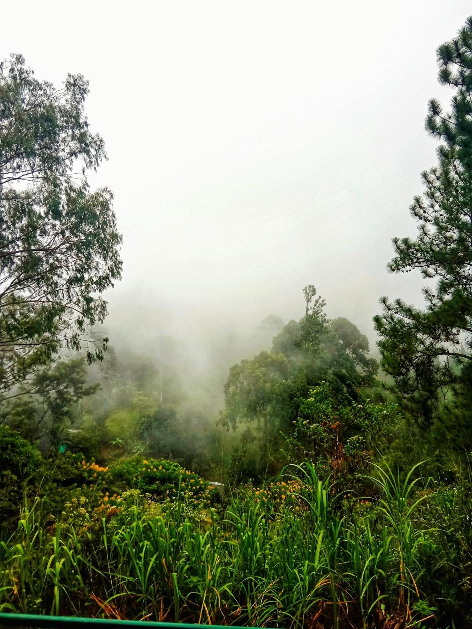 New Rose Villa Bandarawela Ella Zewnętrze zdjęcie