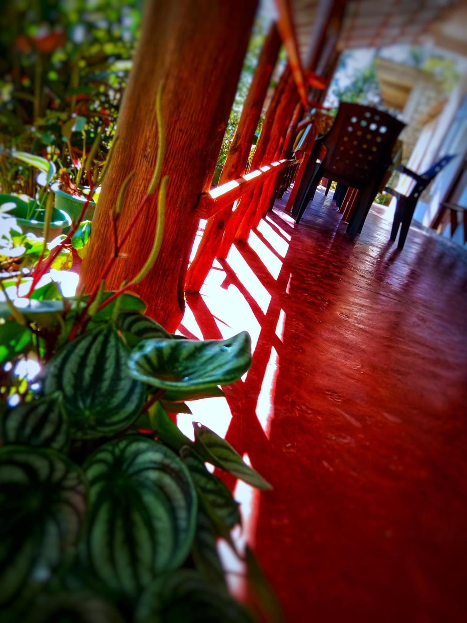 New Rose Villa Bandarawela Ella Zewnętrze zdjęcie