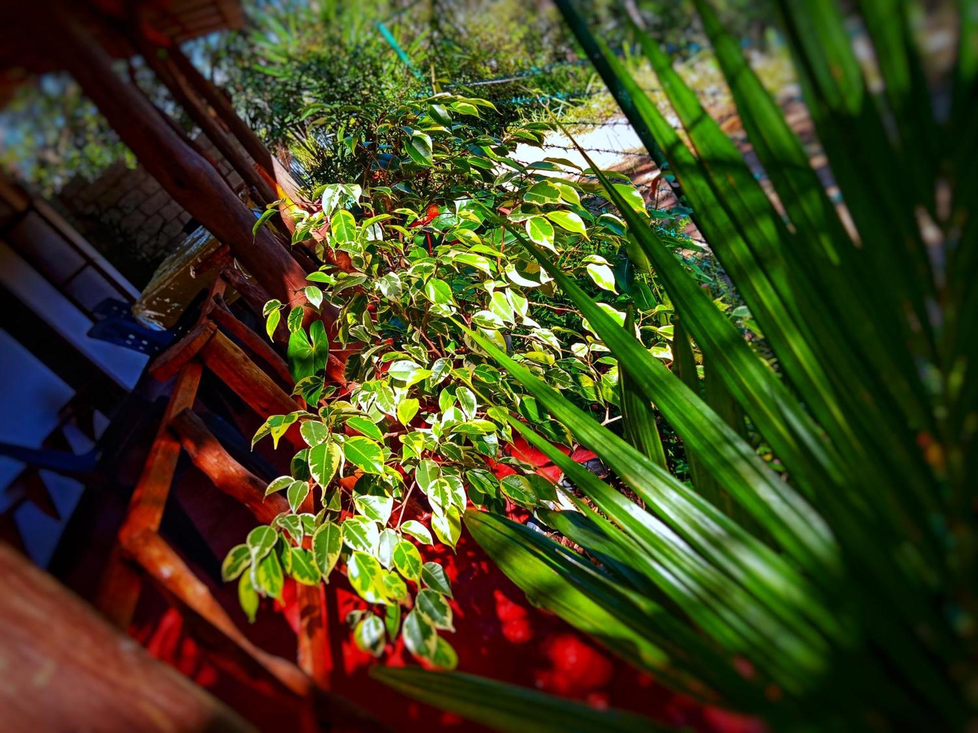 New Rose Villa Bandarawela Ella Zewnętrze zdjęcie