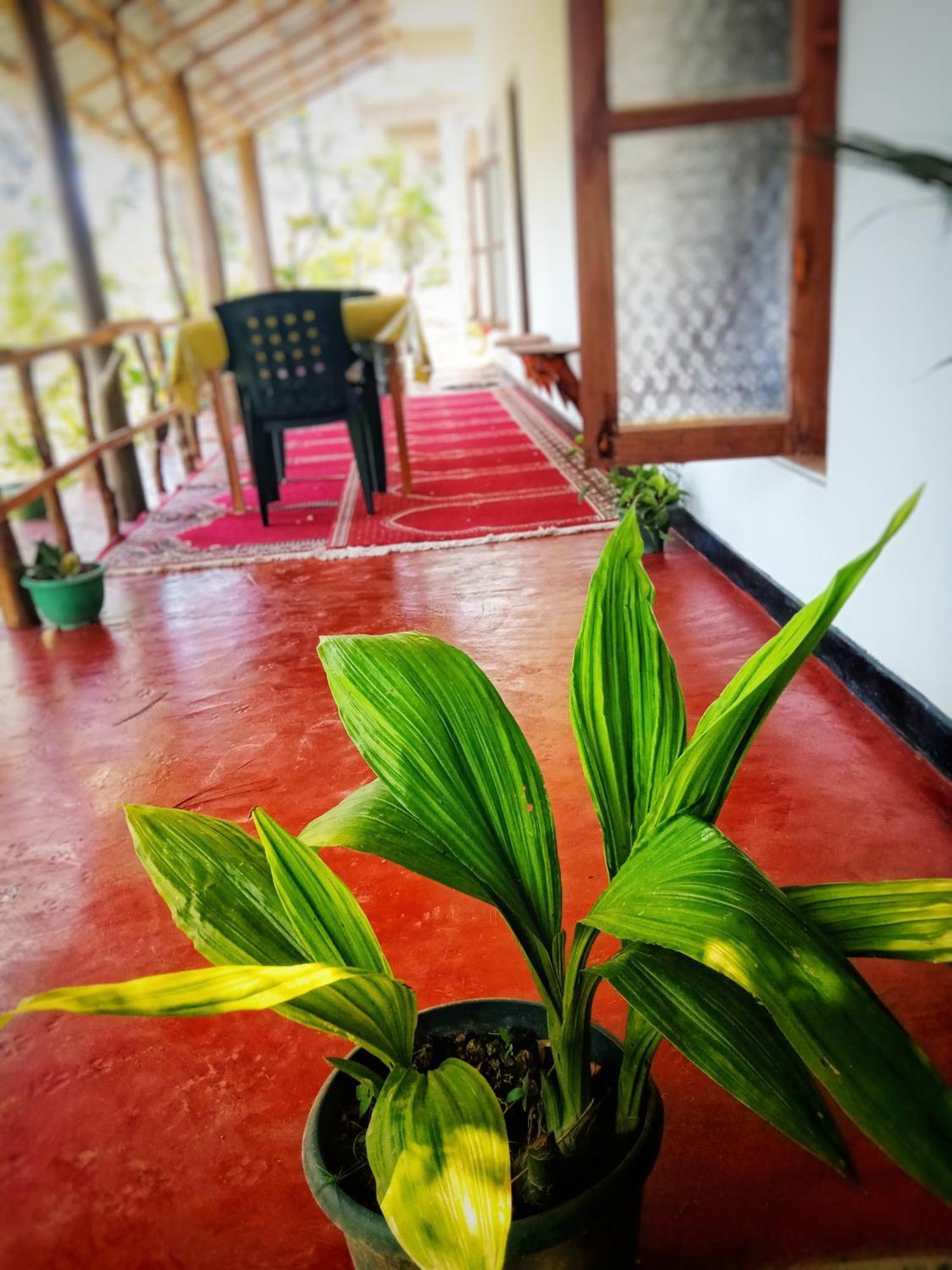 New Rose Villa Bandarawela Ella Zewnętrze zdjęcie