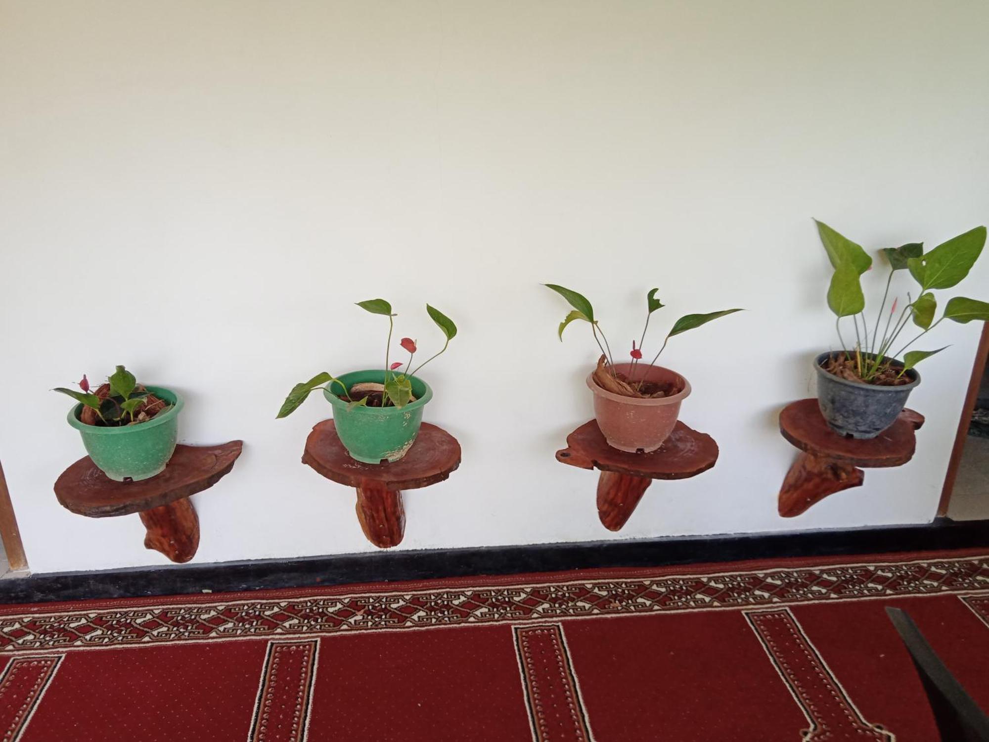 New Rose Villa Bandarawela Ella Zewnętrze zdjęcie