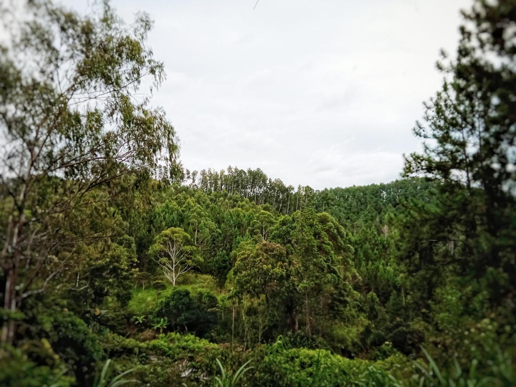 New Rose Villa Bandarawela Ella Zewnętrze zdjęcie
