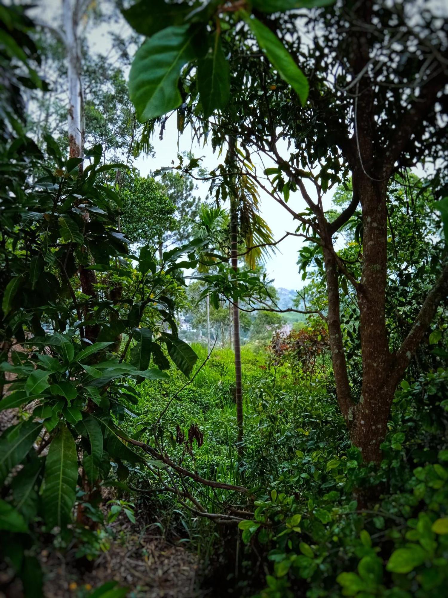 New Rose Villa Bandarawela Ella Zewnętrze zdjęcie