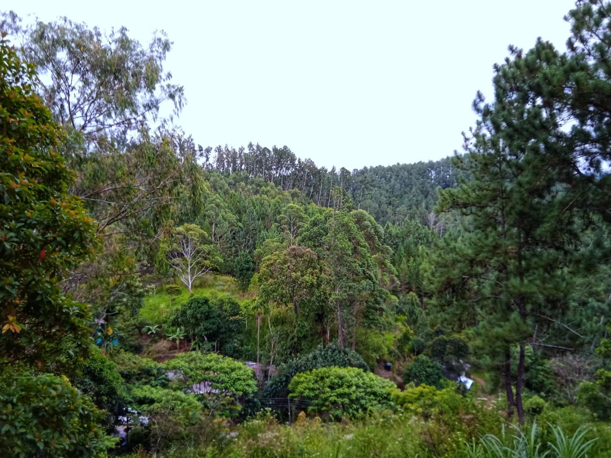 New Rose Villa Bandarawela Ella Zewnętrze zdjęcie