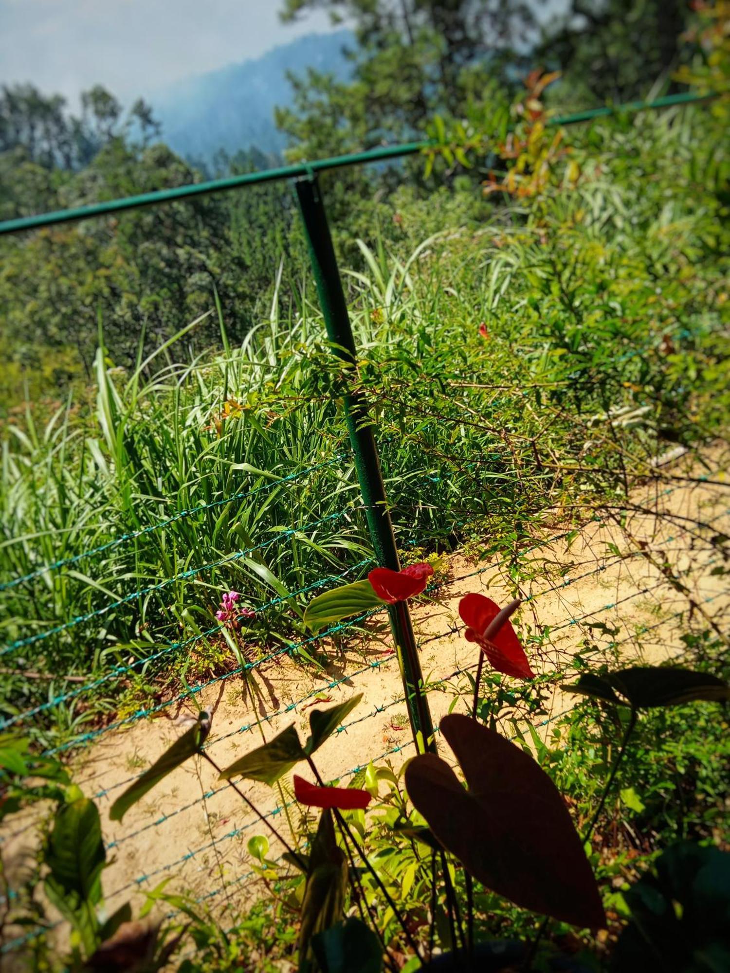 New Rose Villa Bandarawela Ella Zewnętrze zdjęcie