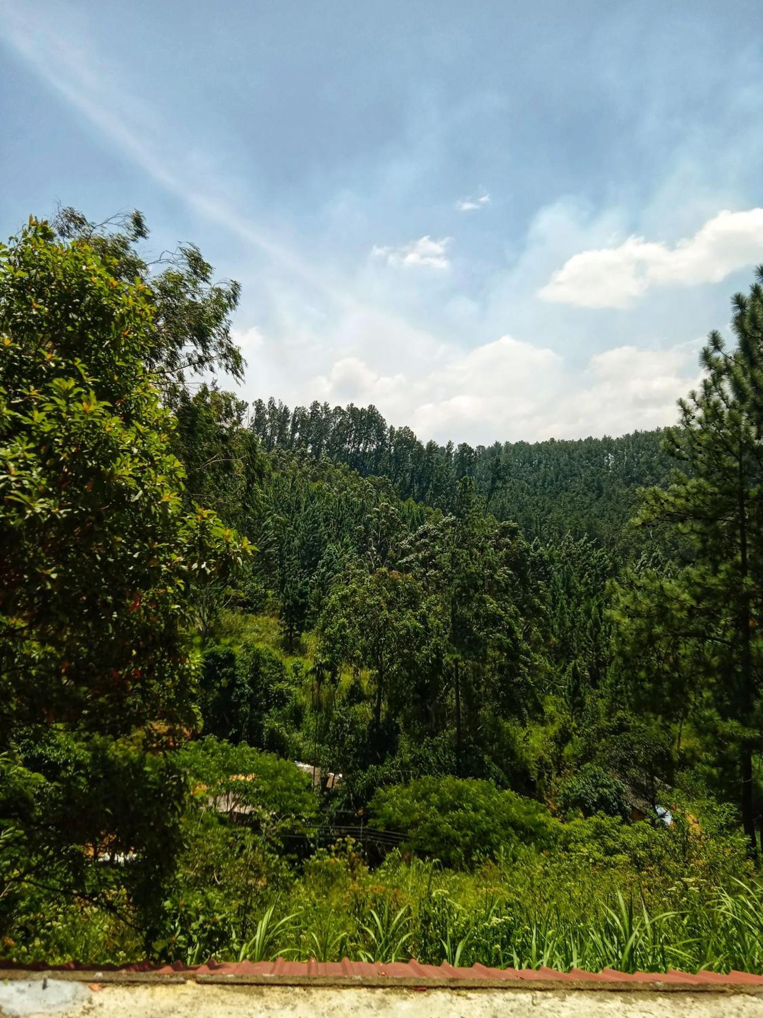 New Rose Villa Bandarawela Ella Zewnętrze zdjęcie